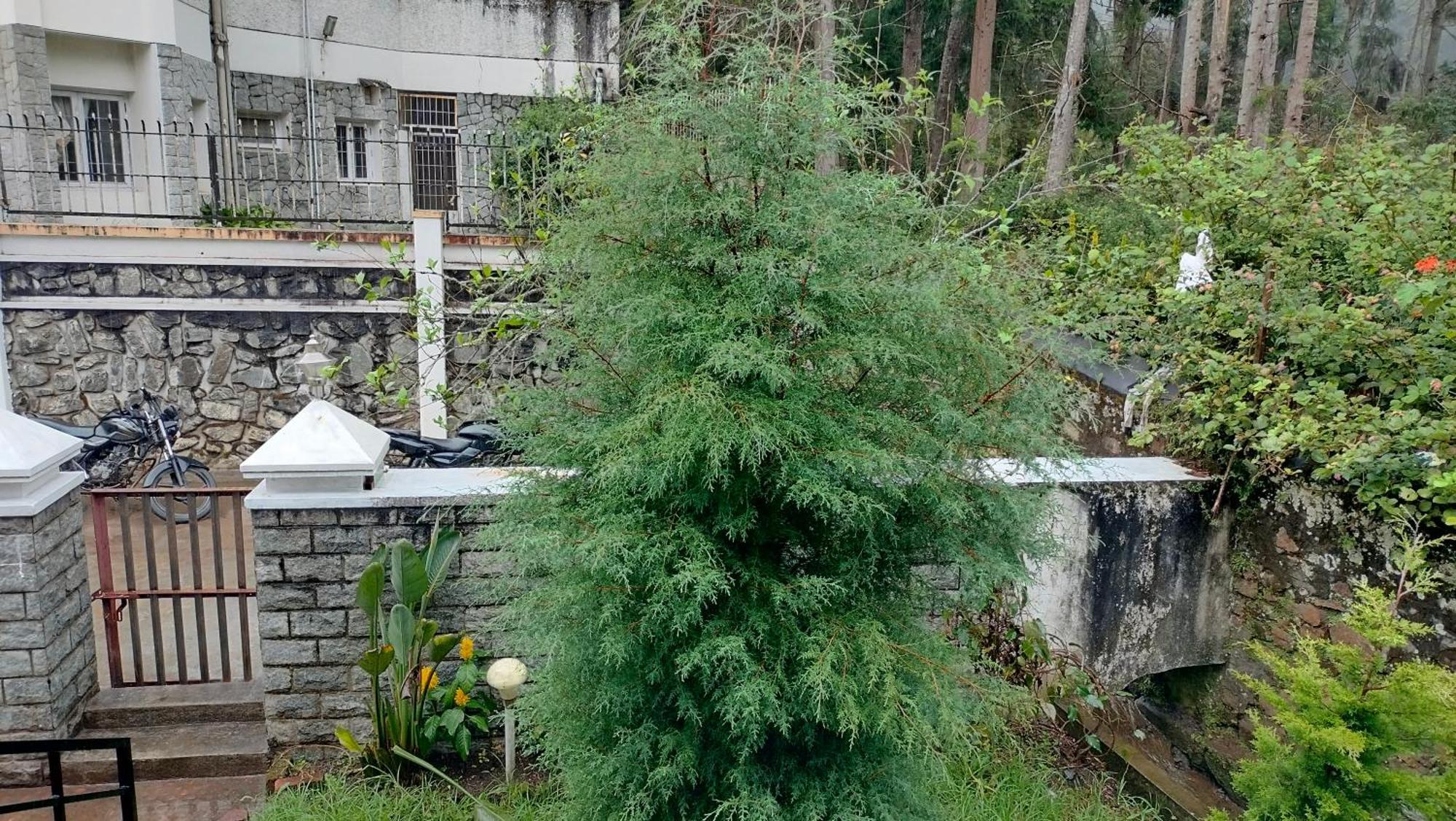 Kodai King Suite Kodaikanal Kültér fotó