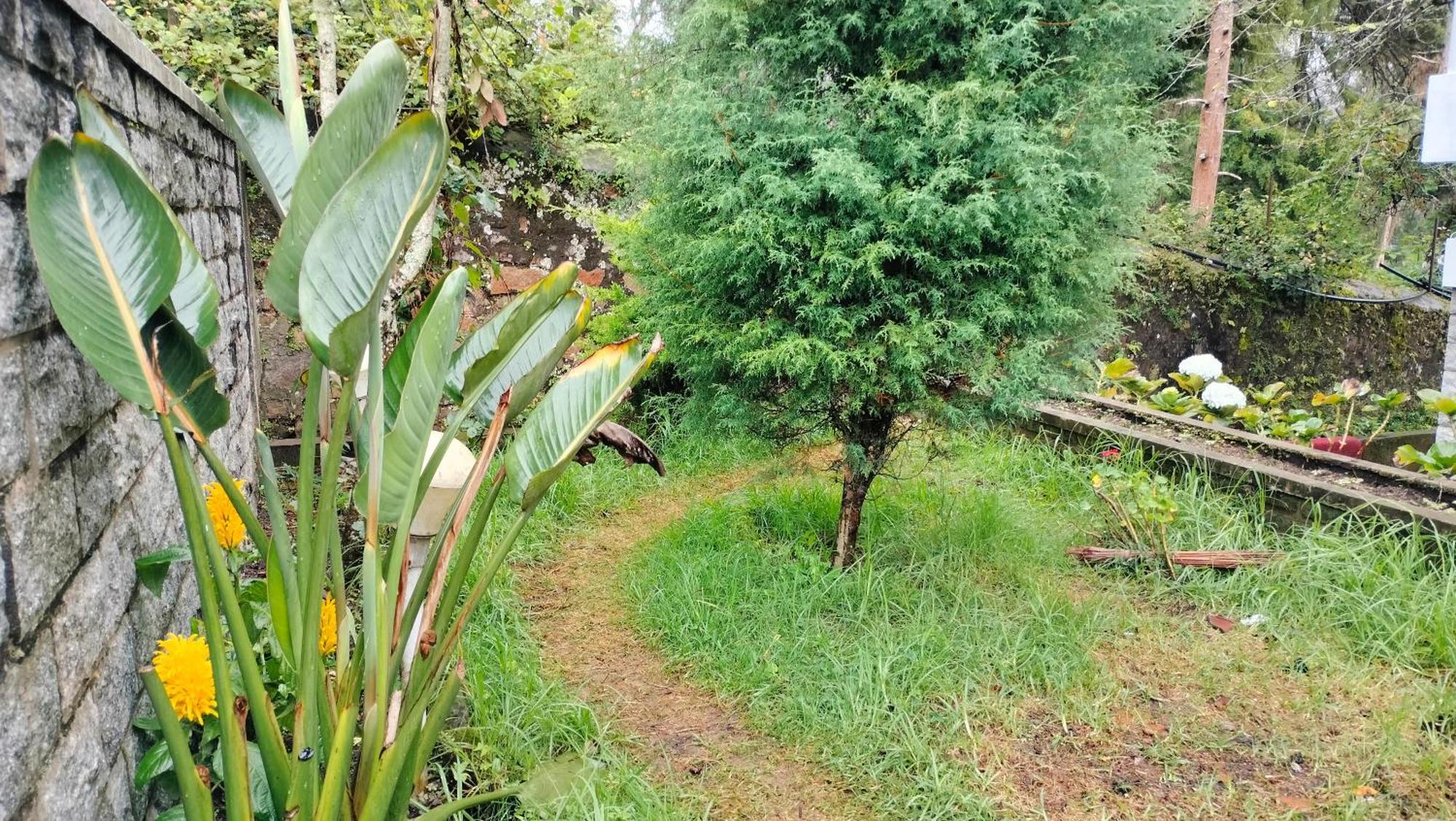 Kodai King Suite Kodaikanal Kültér fotó